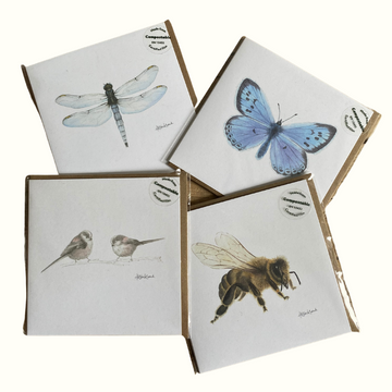 Compostable Greeting Cards